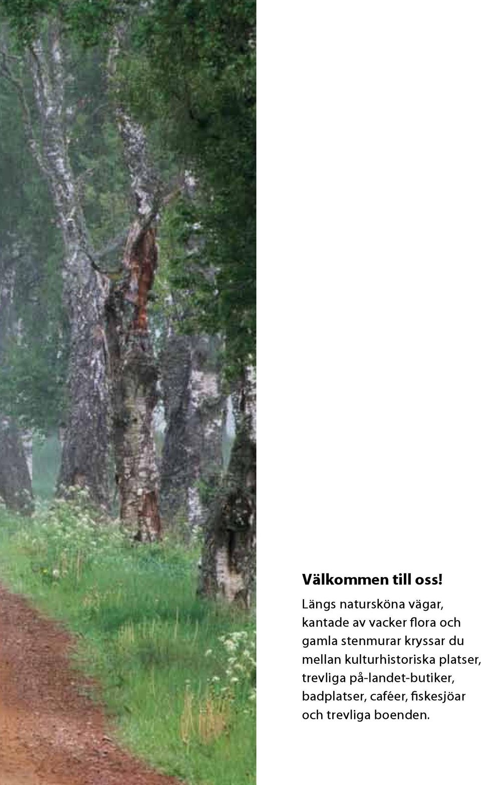 gamla stenmurar kryssar du mellan kulturhistoriska
