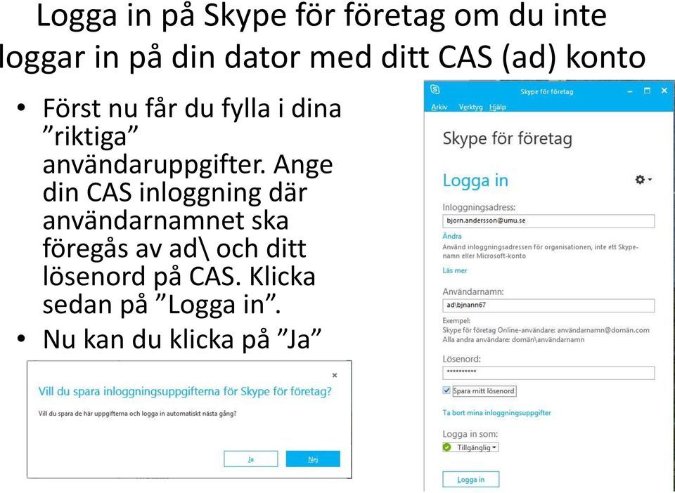 användaruppgifter.