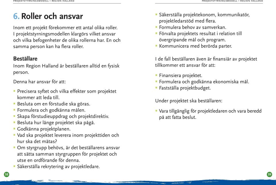 Denna har ansvar för att: Precisera syftet och vilka effekter som projektet kommer att leda till. Besluta om en förstudie ska göras. Formulera och godkänna målen.