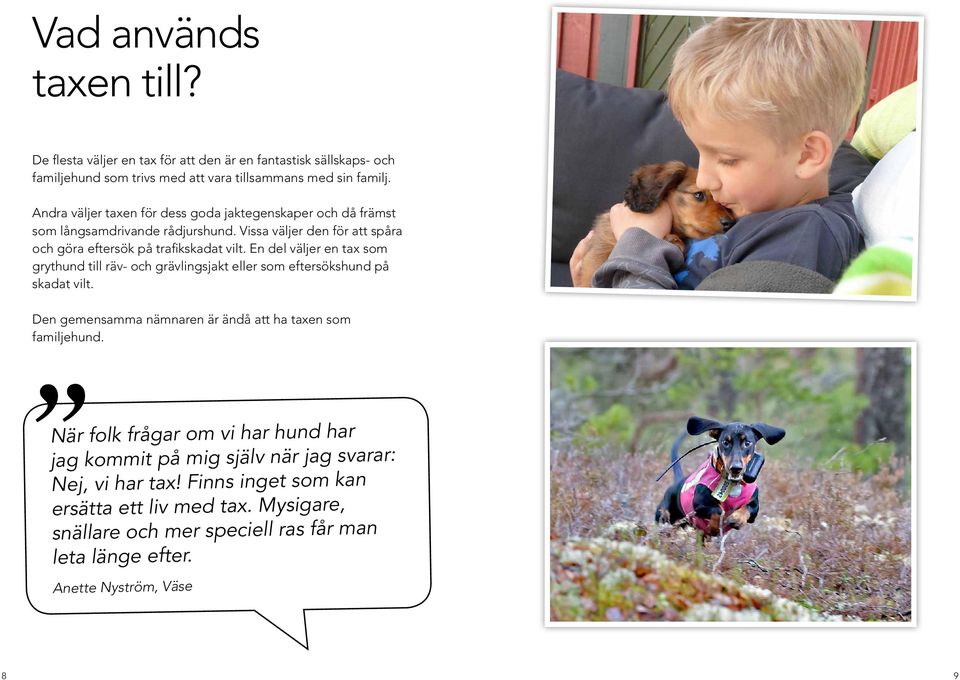 En del väljer en tax som grythund till räv- och grävlingsjakt eller som eftersökshund på skadat vilt. Den gemensamma nämnaren är ändå att ha taxen som familjehund.