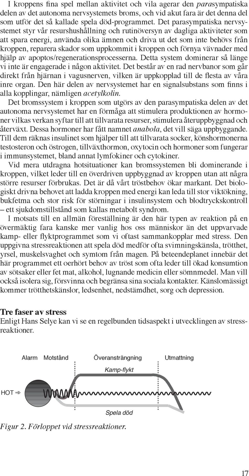 skador som uppkommit i kroppen och förnya vävnader med hjälp av apoptos/regenerationsprocesserna. Detta system dominerar så länge vi inte är engagerade i någon aktivitet.