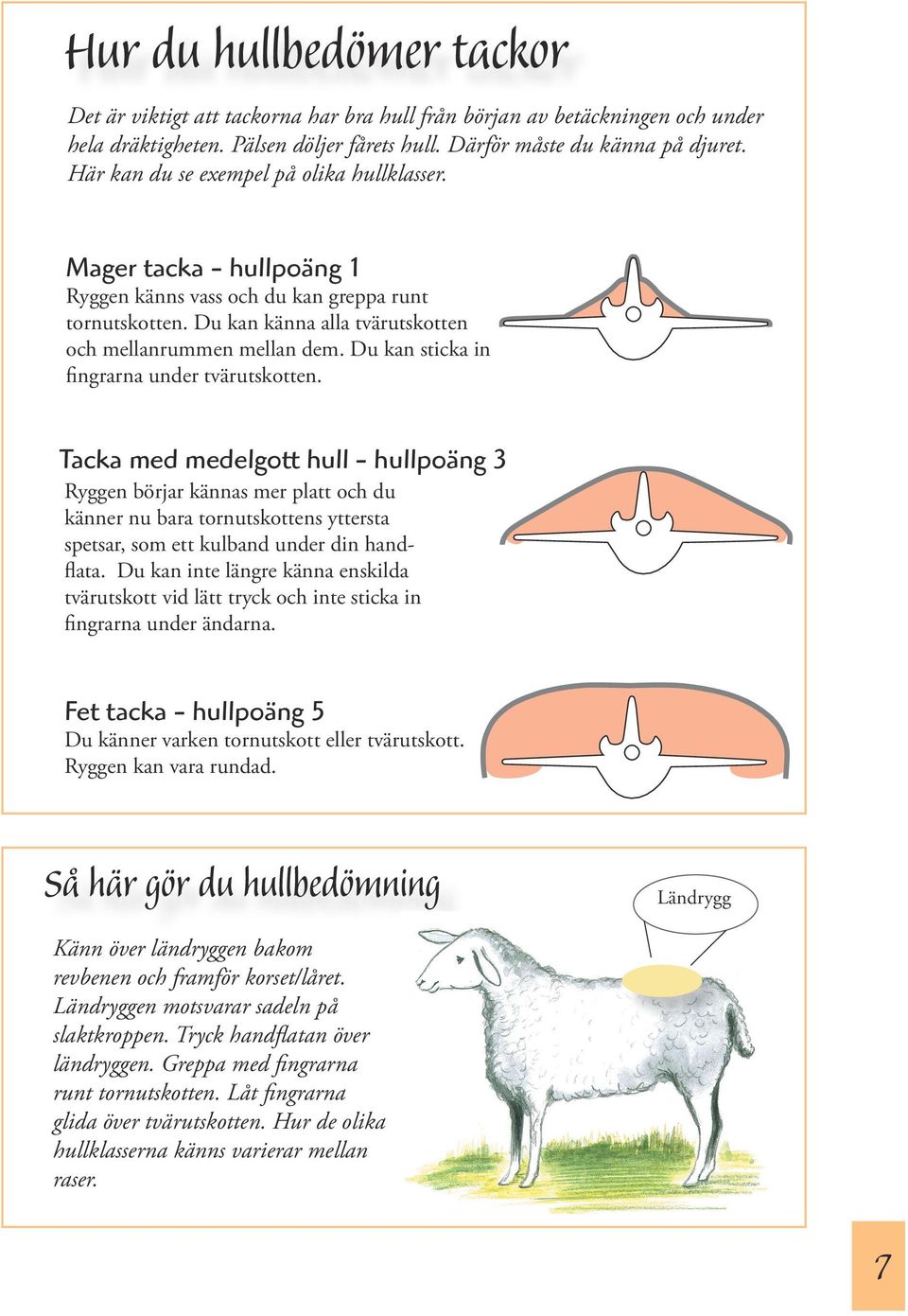 Du kan sticka in fingrarna under tvärutskotten.