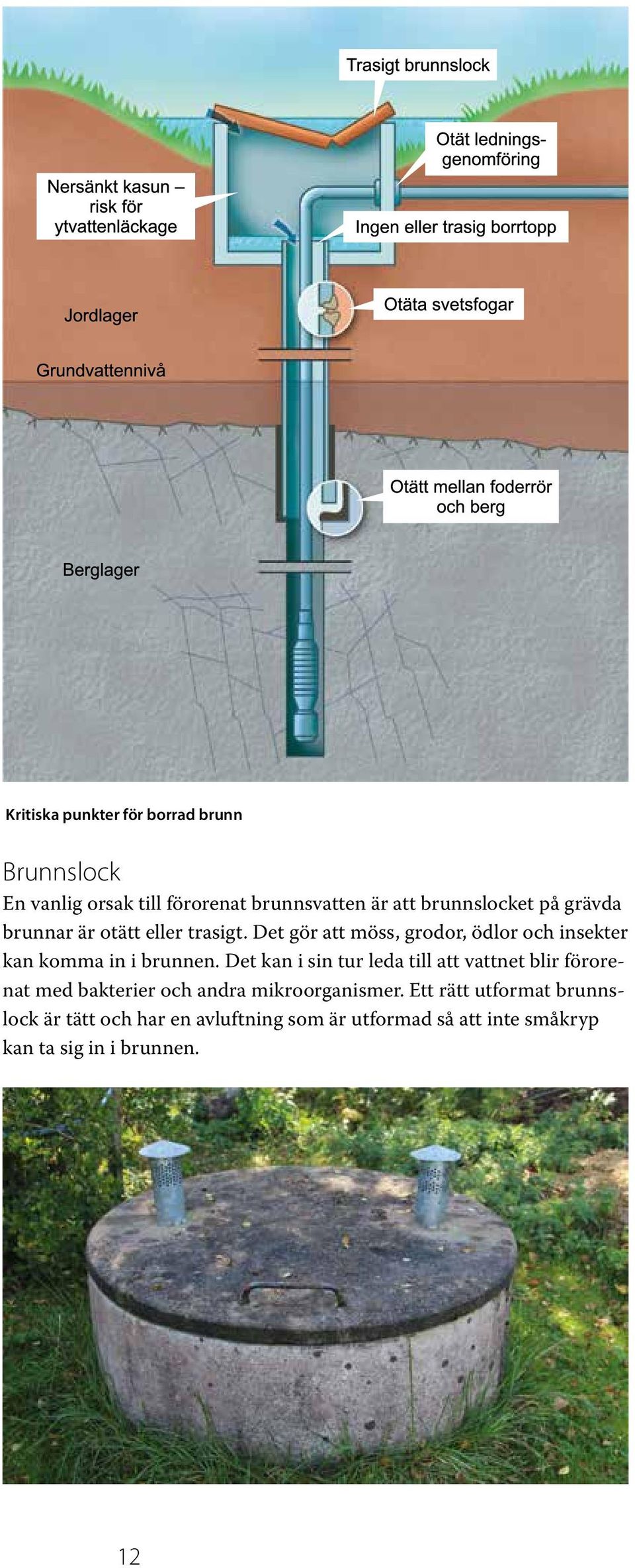 Det kan i sin tur leda till att vattnet blir förorenat med bakterier och andra mikroorganismer.