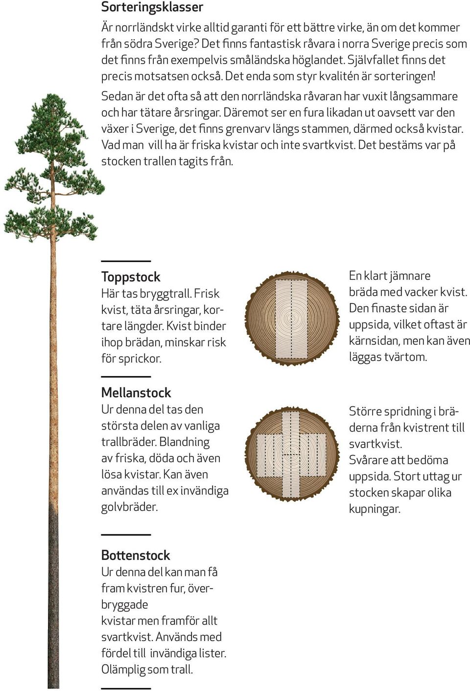 Sedan är det ofta så att den norrländska råvaran har vuxit långsammare och har tätare årsringar.