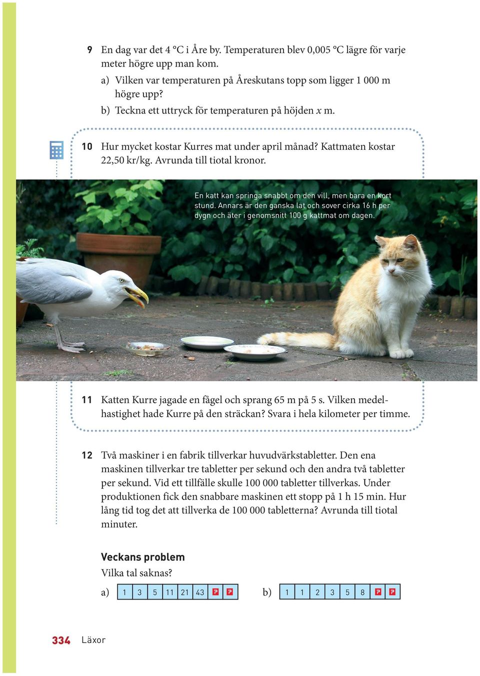 En katt kan springa snabbt om den vill, men bara en kort stund. Annars är den ganska lat och sover cirka 16 h per dygn och äter i genomsnitt 100 g kattmat om dagen.