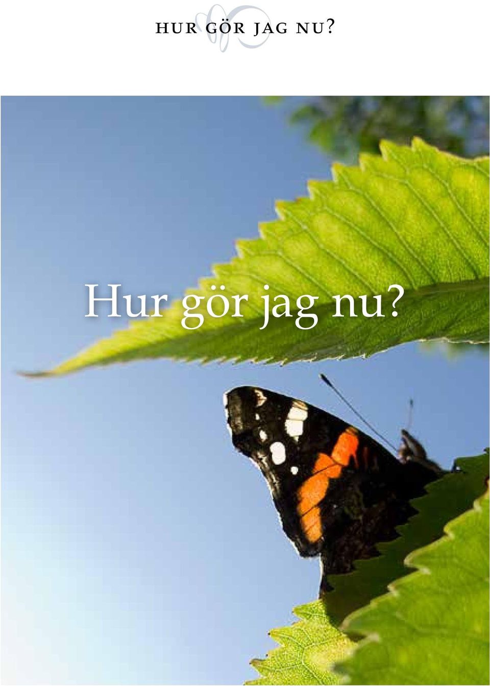 Hur gör