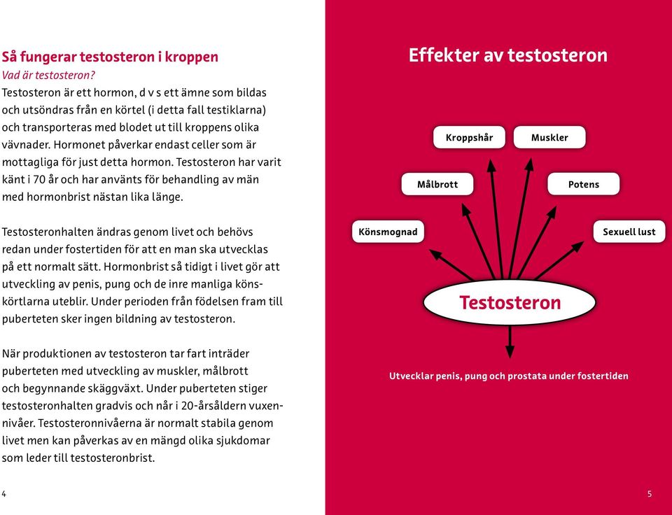 Hormonet påverkar endast celler som är mottagliga för just detta hormon. Testosteron har varit känt i 70 år och har använts för behandling av män med hormonbrist nästan lika länge.