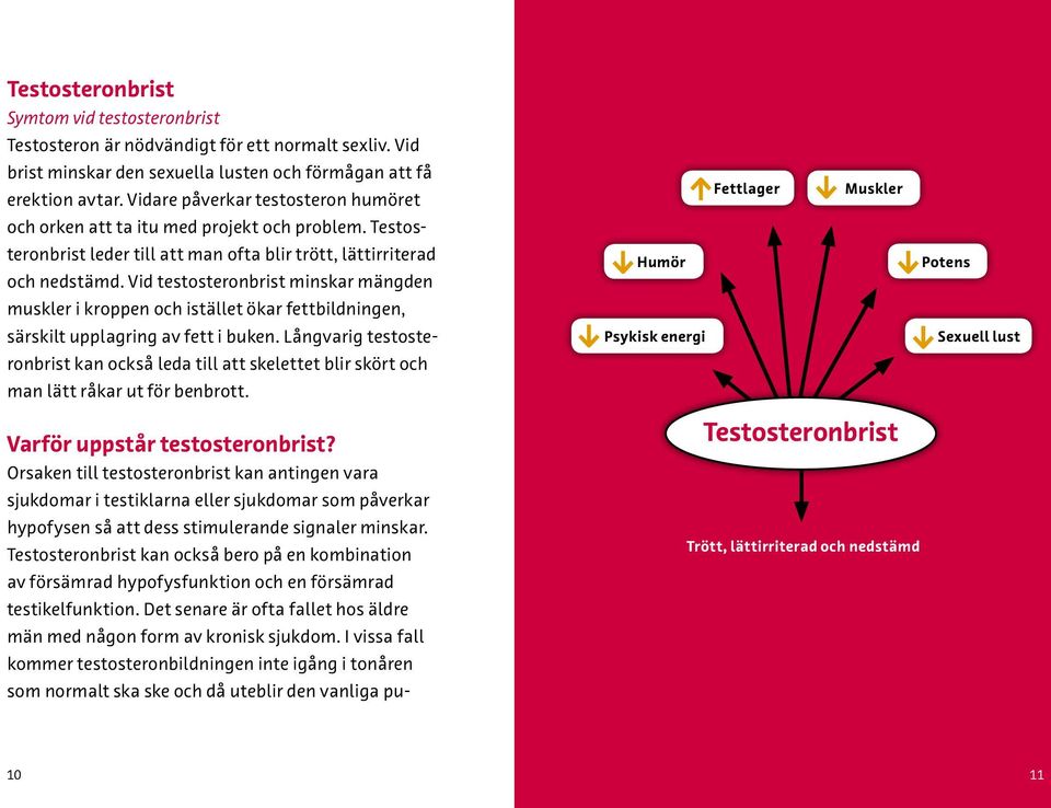 Vid testosteronbrist minskar mängden muskler i kroppen och istället ökar fettbildningen, särskilt upplagring av fett i buken.