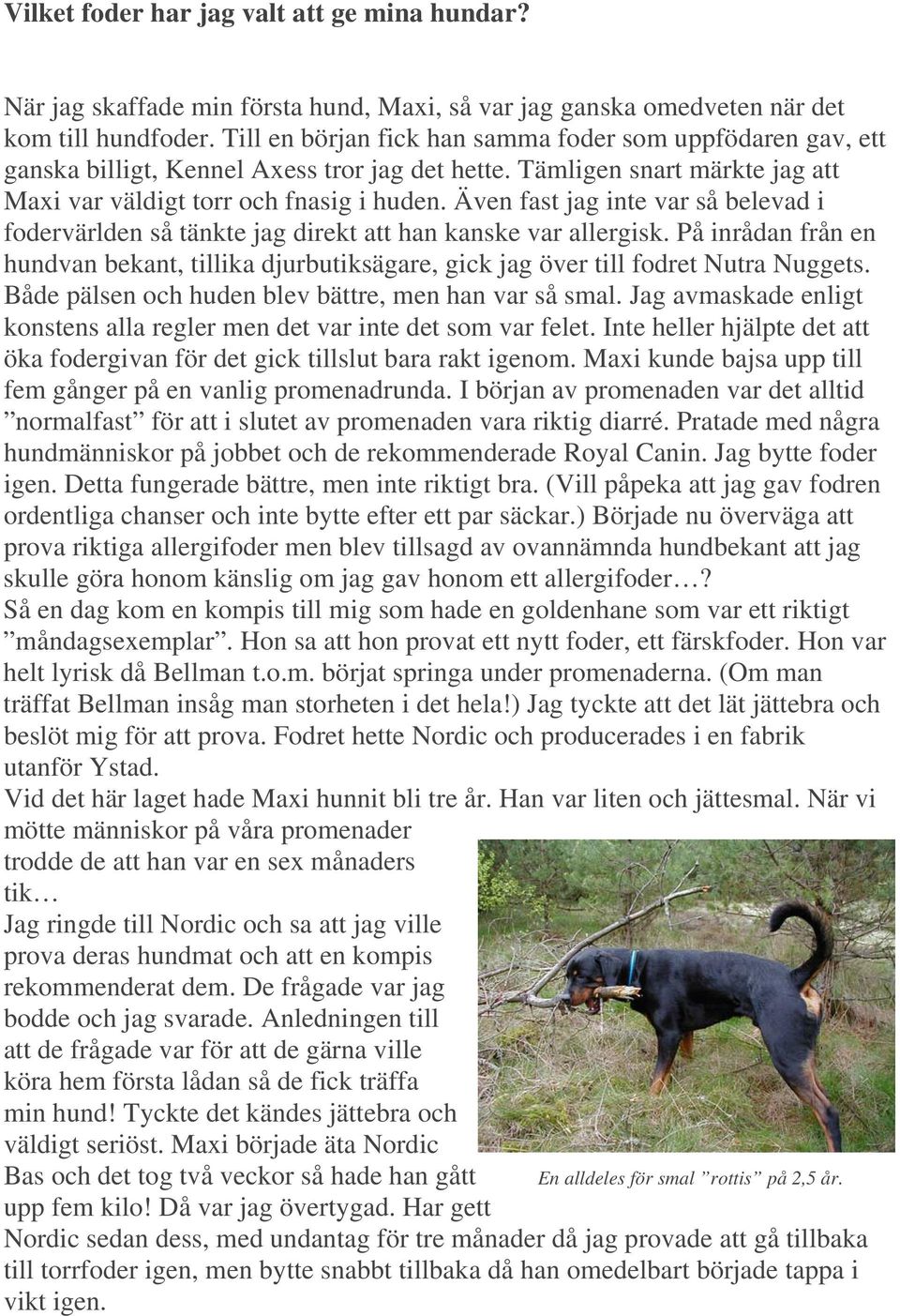 Även fast jag inte var så belevad i fodervärlden så tänkte jag direkt att han kanske var allergisk. På inrådan från en hundvan bekant, tillika djurbutiksägare, gick jag över till fodret Nutra Nuggets.