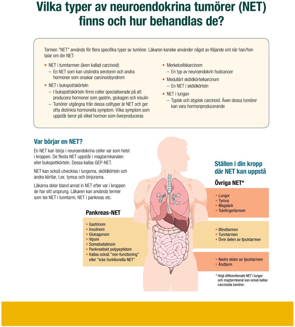 NET i bukspottskörteln I bukspottskörteln finns celler specialiserade på att producera hormoner som gastrin, glukagon och insulin Tumörer utgångna från dessa celltyper är NET och ger ofta distinkta