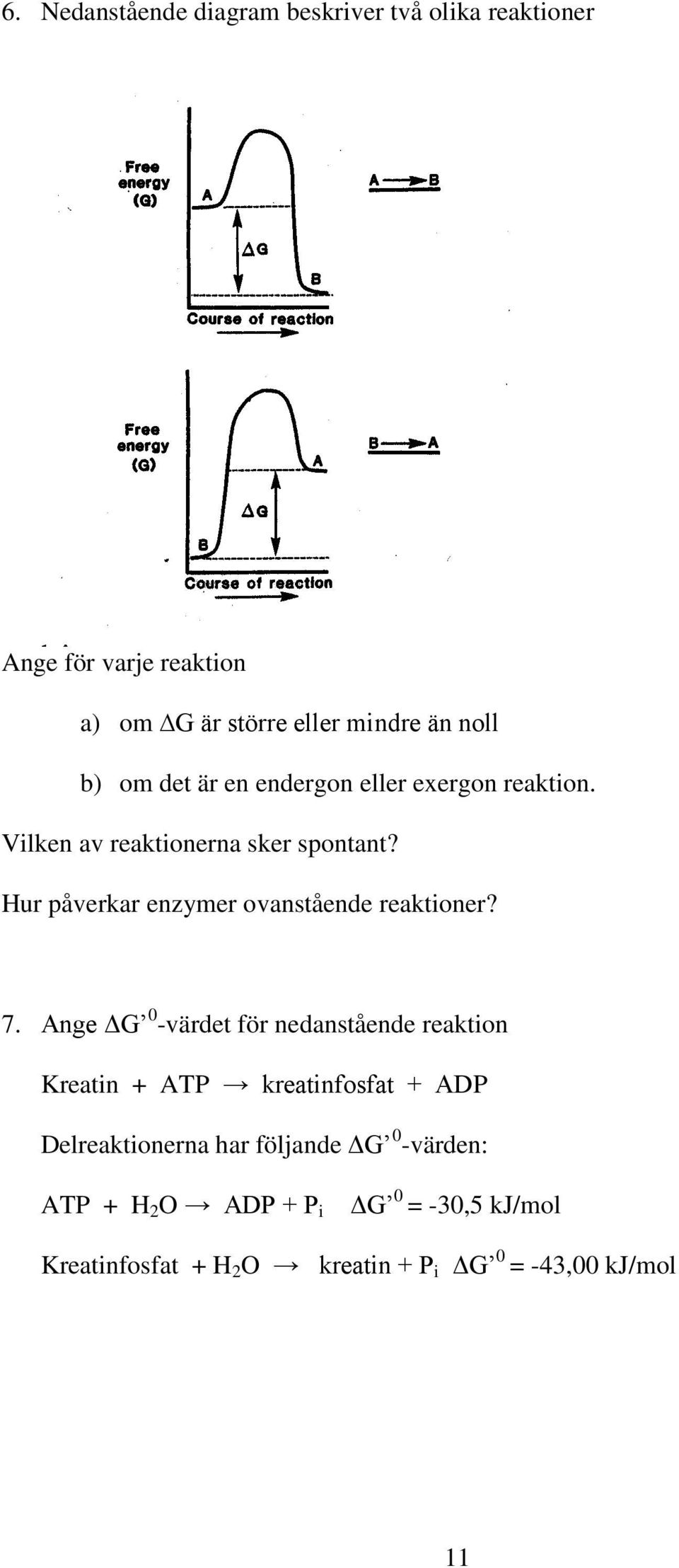 Hur påverkar enzymer ovanstående reaktioner? 7.