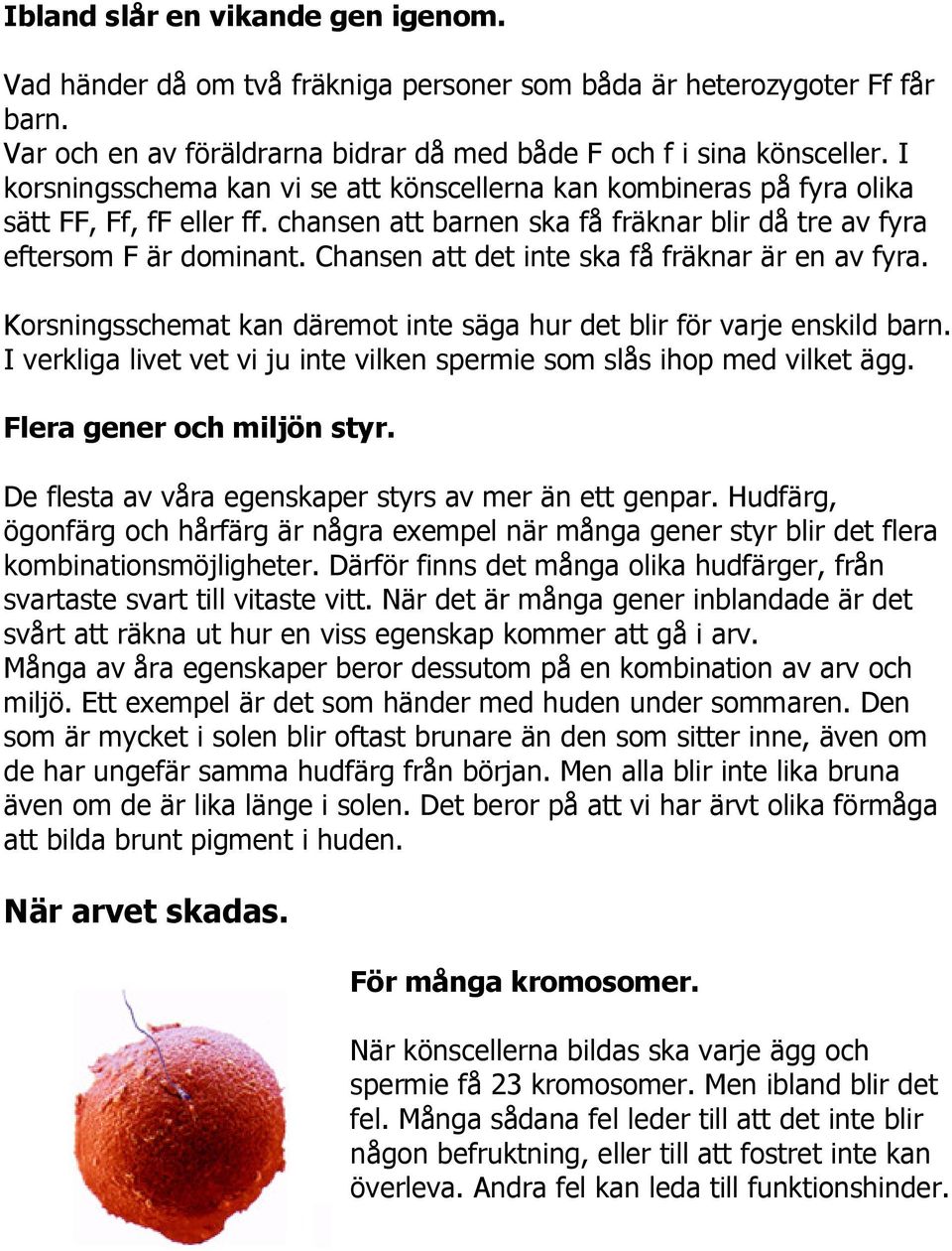 Chansen att det inte ska få fräknar är en av fyra. Korsningsschemat kan däremot inte säga hur det blir för varje enskild barn.