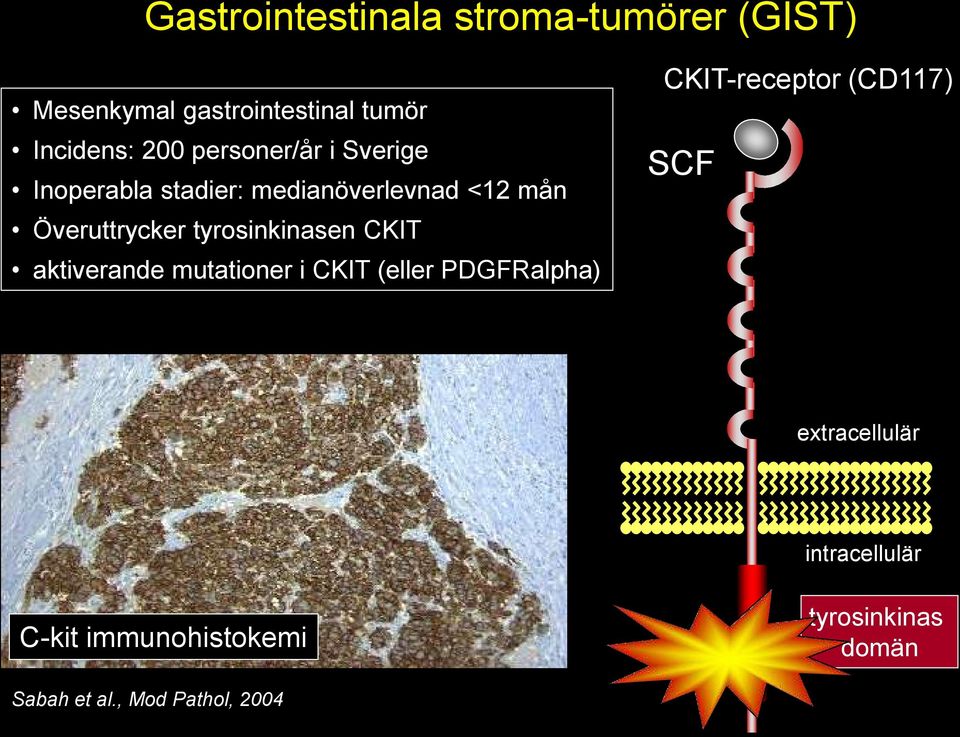 tyrosinkinasen CKIT aktiverande mutationer i CKIT (eller PDGFRalpha) CKIT-receptor (CD117)