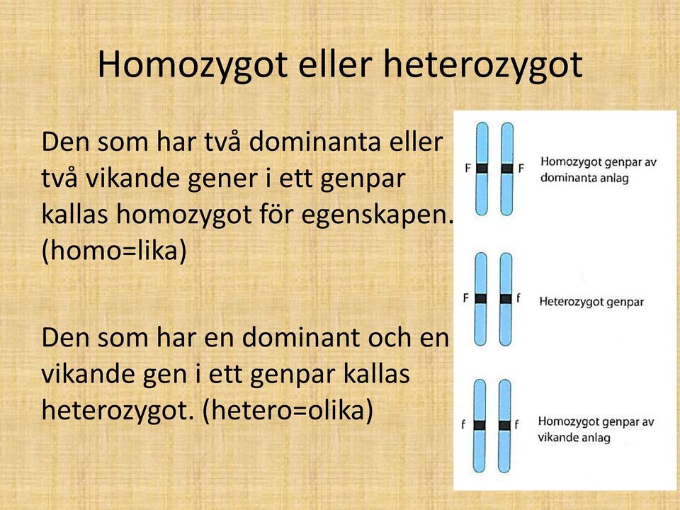 för egenskapen.