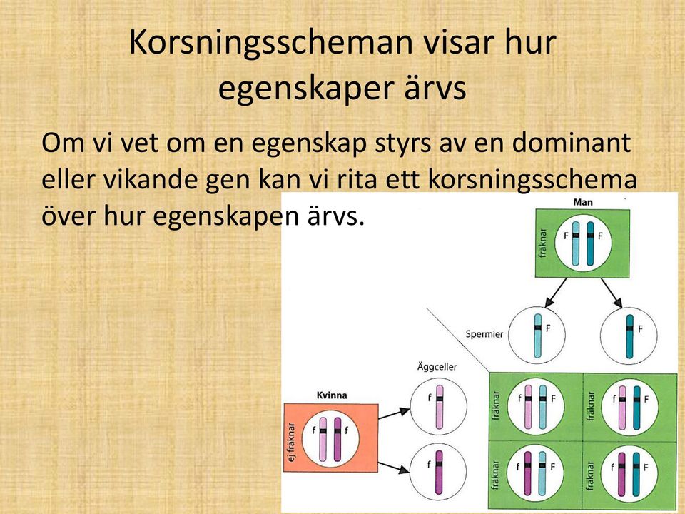 en dominant eller vikande gen kan vi