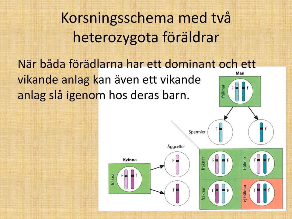 dominant och ett vikande anlag kan även