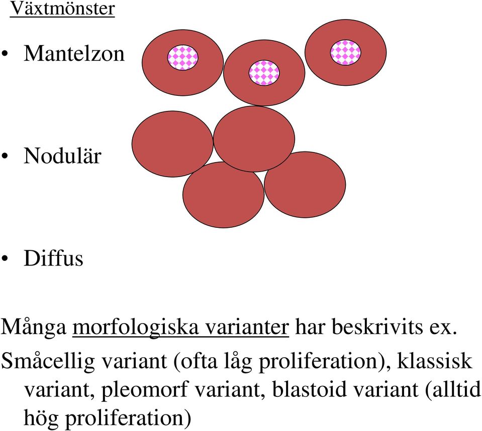 Småcellig variant (ofta låg proliferation),