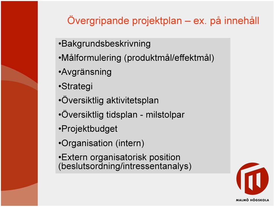 Avgränsning Strategi Översiktlig aktivitetsplan Översiktlig tidsplan -