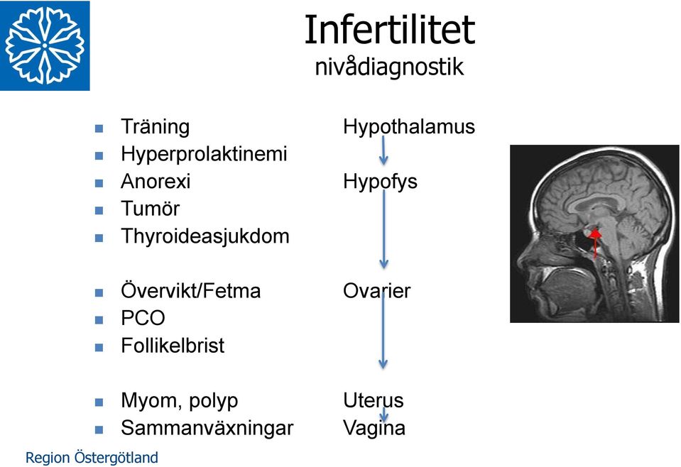 Tumör Thyroideasjukdom Övervikt/Fetma Ovarier