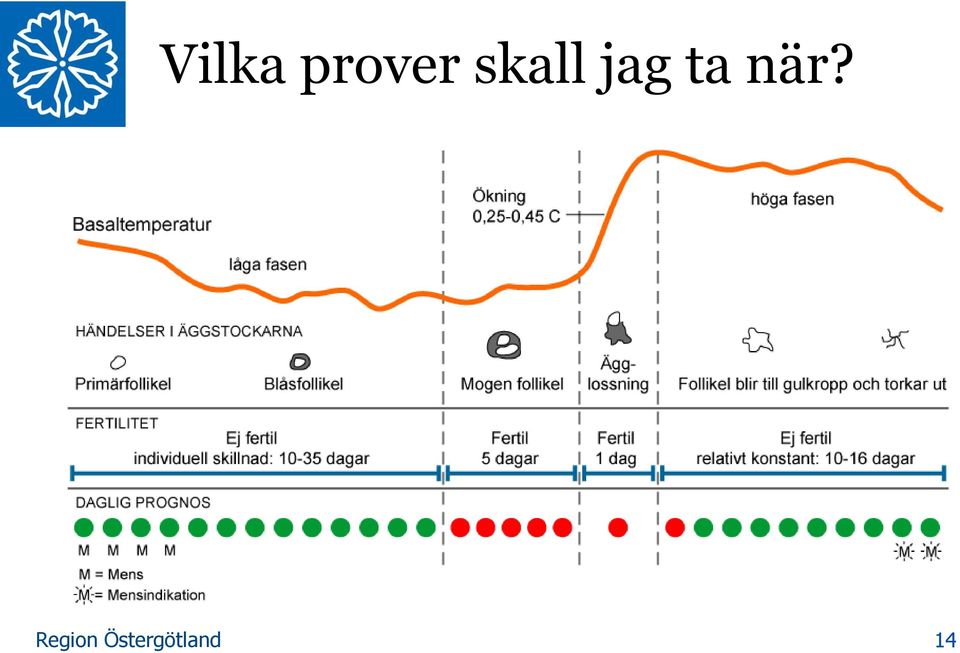 skall jag
