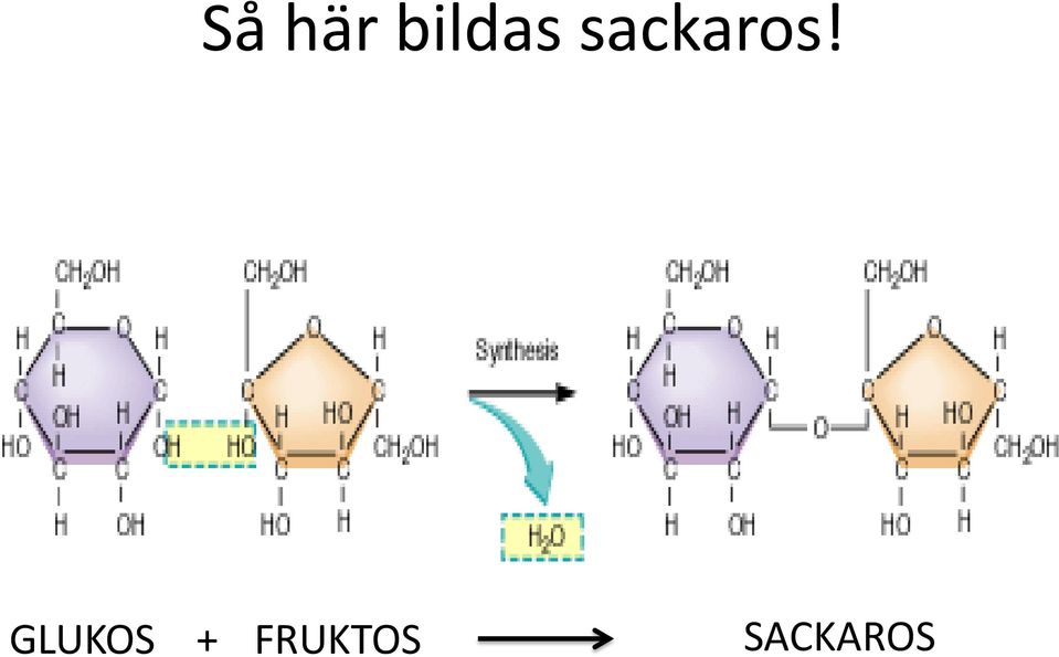 sackaros!