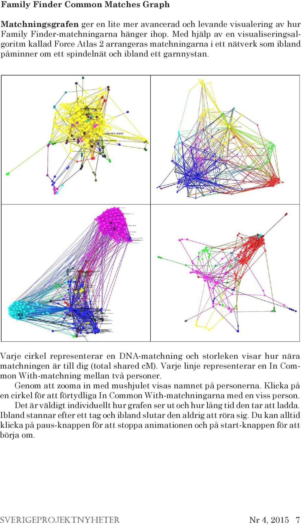 Varje cirkel representerar en DNA-matchning och storleken visar hur nära matchningen är till dig (total shared cm). Varje linje representerar en In Common With-matchning mellan två personer.