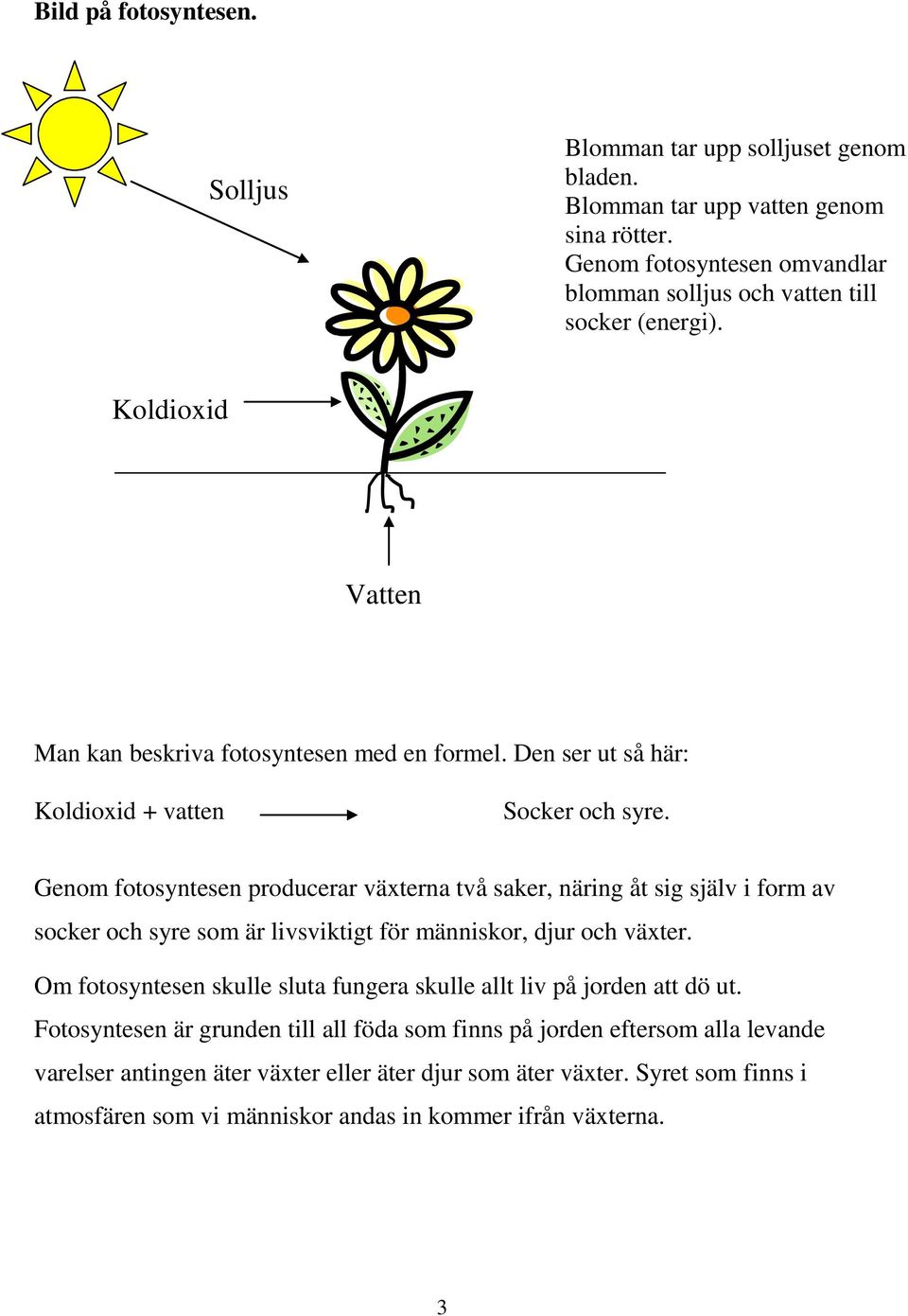 Den ser ut så här: Koldioxid + vatten Socker och syre.