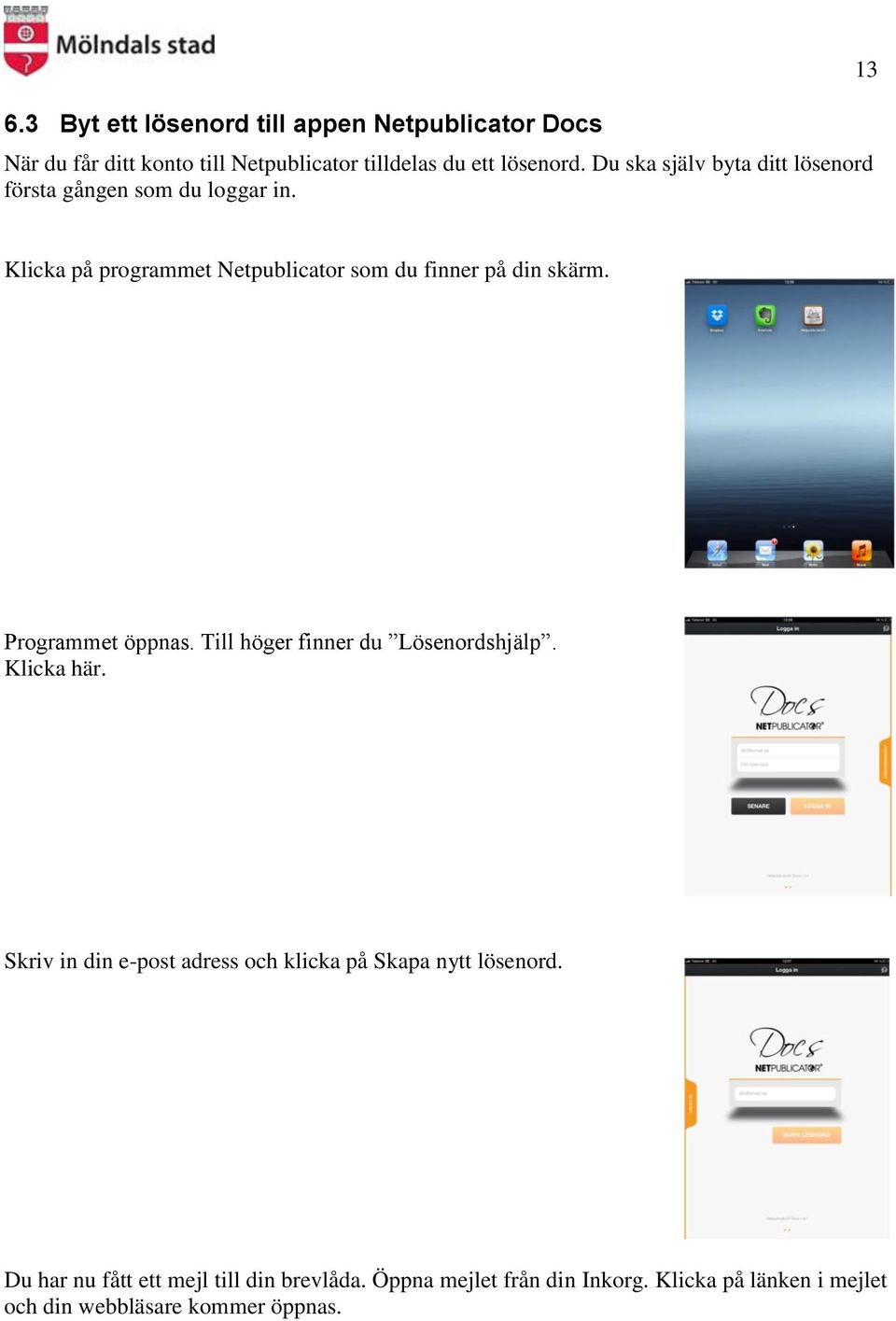 13 Klicka på programmet Netpublicator som du finner på din skärm. Programmet öppnas. Till höger finner du Lösenordshjälp.