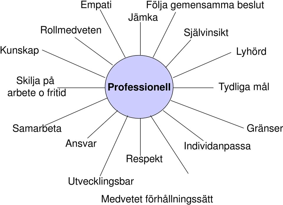 Professionell Tydliga mål Samarbeta Ansvar Respekt