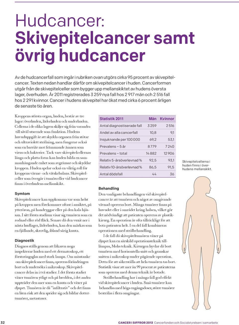 Cancer i hudens skivepitel har ökat med cirka 6 procent årligen de senaste tio åren. Kroppens största organ, huden, består av tre lager: överhuden, läderhuden och underhuden.