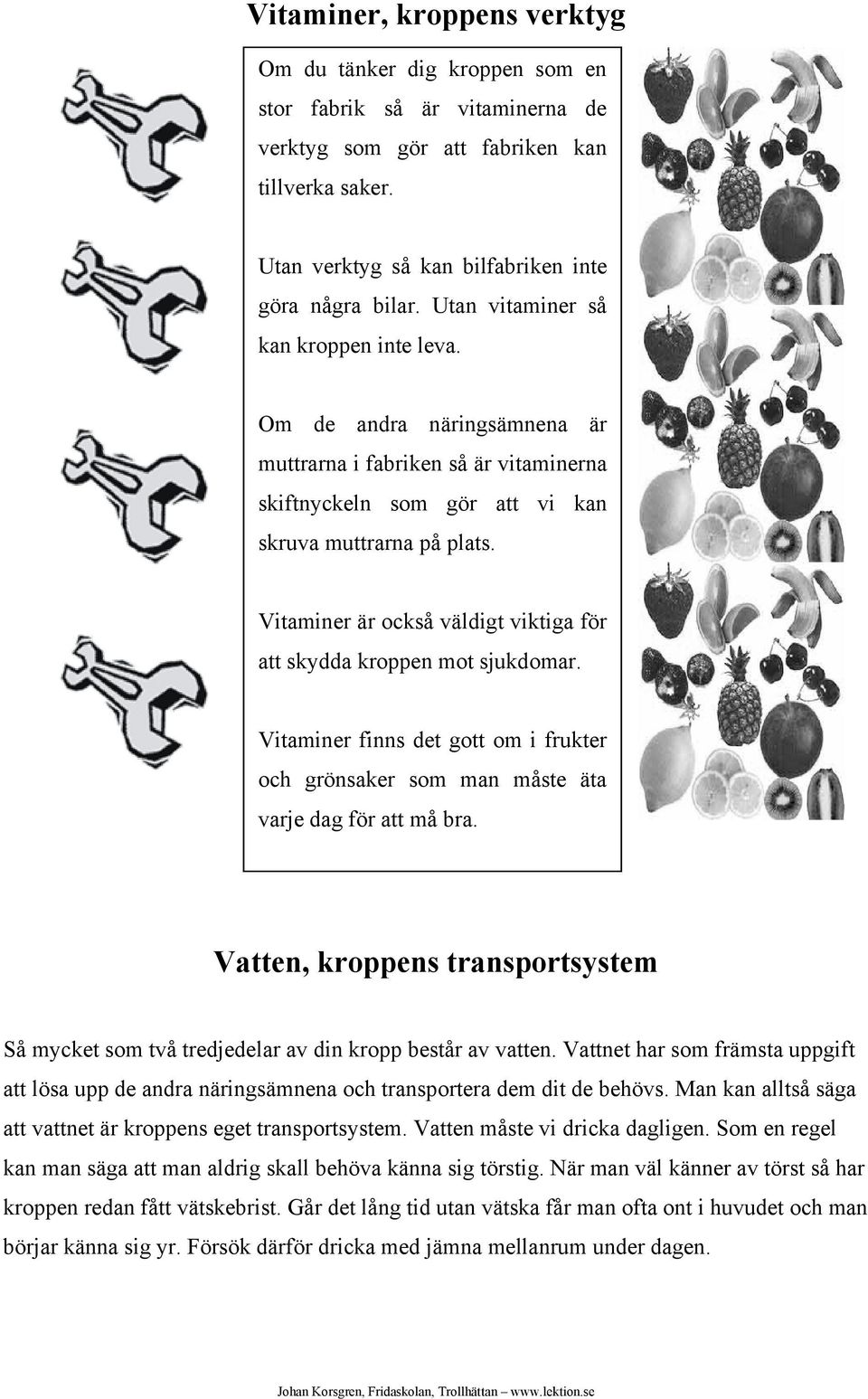 Vitaminer är också väldigt viktiga för att skydda kroppen mot sjukdomar. Vitaminer finns det gott om i frukter och grönsaker som man måste äta varje dag för att må bra.