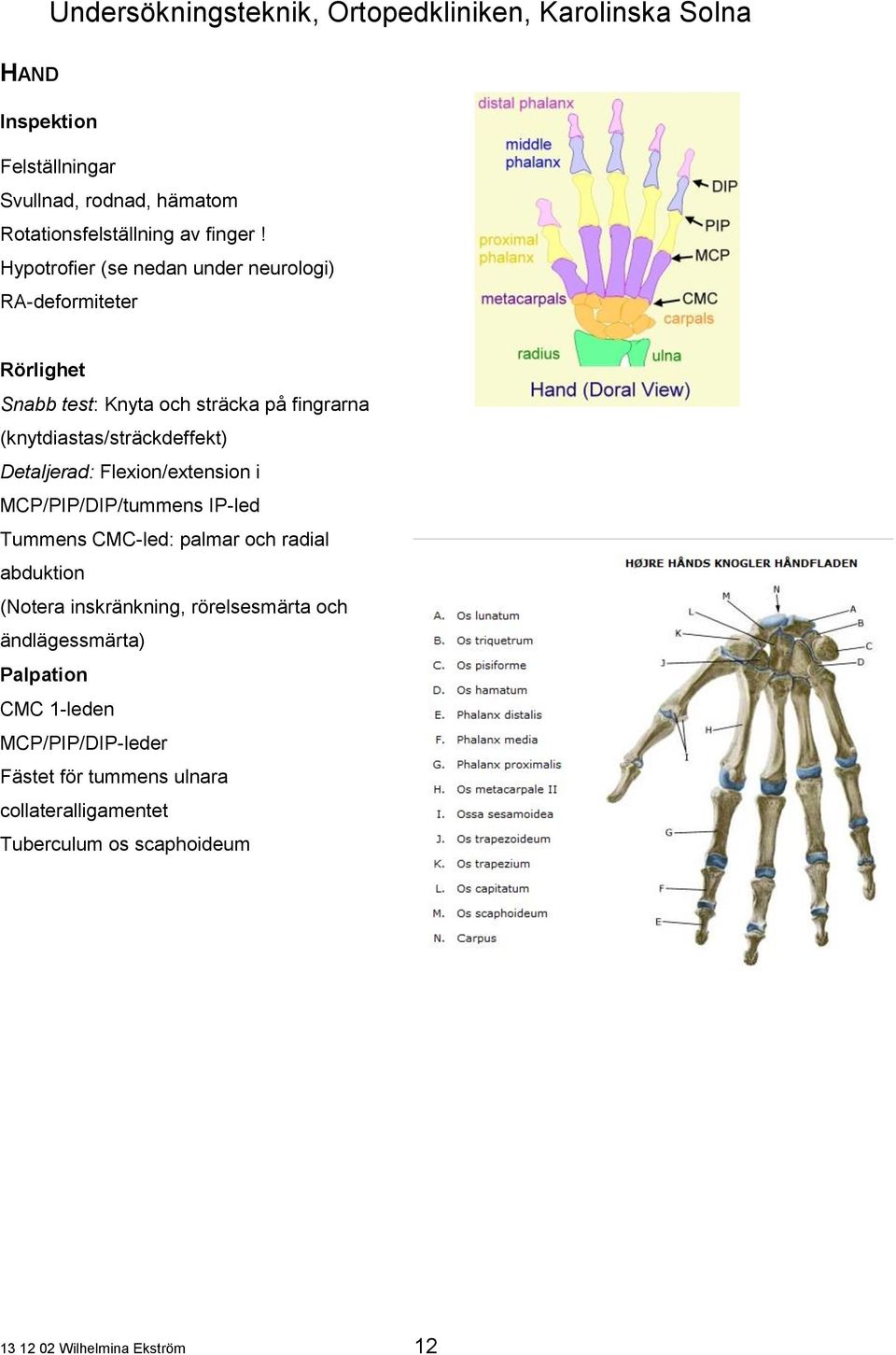 (knytdiastas/sträckdeffekt) Detaljerad: Flexion/extension i MCP/PIP/DIP/tummens IP-led Tummens CMC-led: palmar och radial