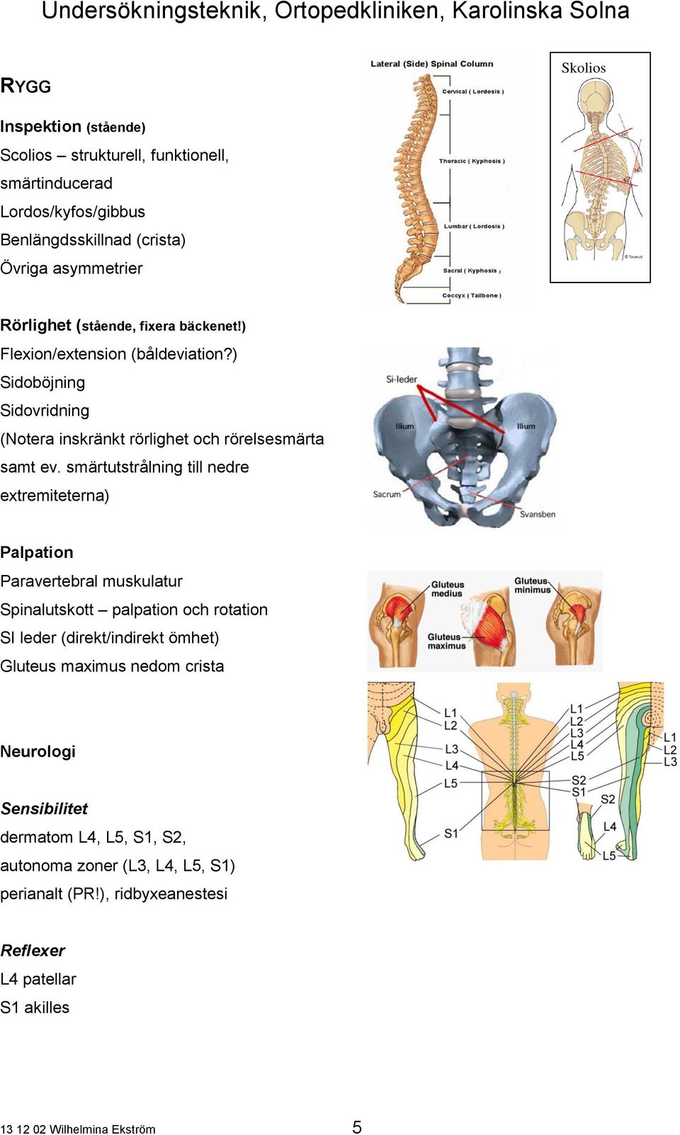 smärtutstrålning till nedre extremiteterna) Paravertebral muskulatur Spinalutskott palpation och rotation SI leder (direkt/indirekt ömhet) Gluteus maximus