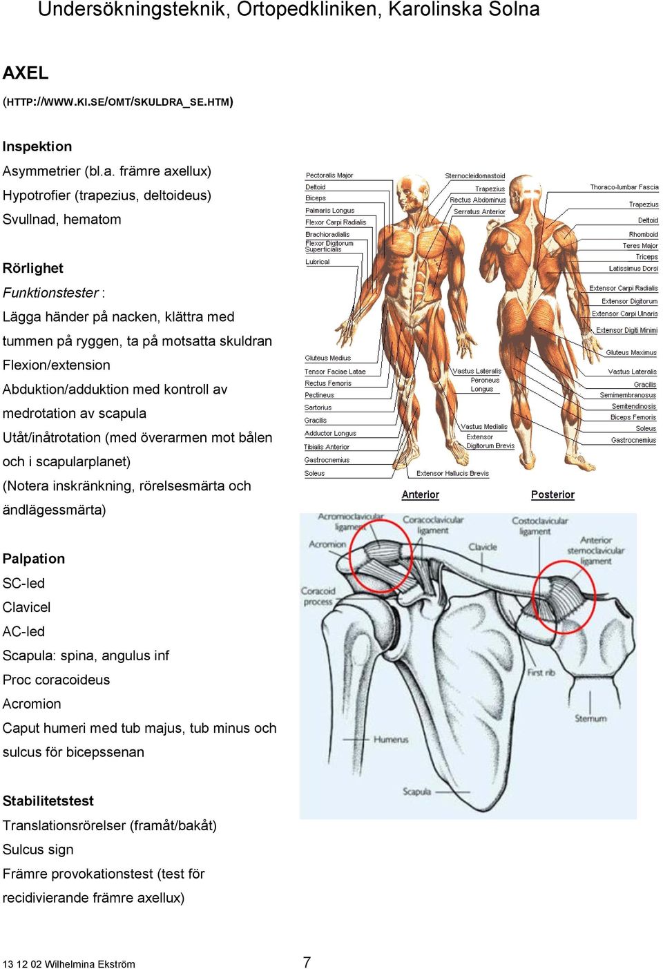 Flexion/extension Abduktion/adduktion med kontroll av medrotation av scapula Utåt/inåtrotation (med överarmen mot bålen och i scapularplanet) (Notera inskränkning, rörelsesmärta och