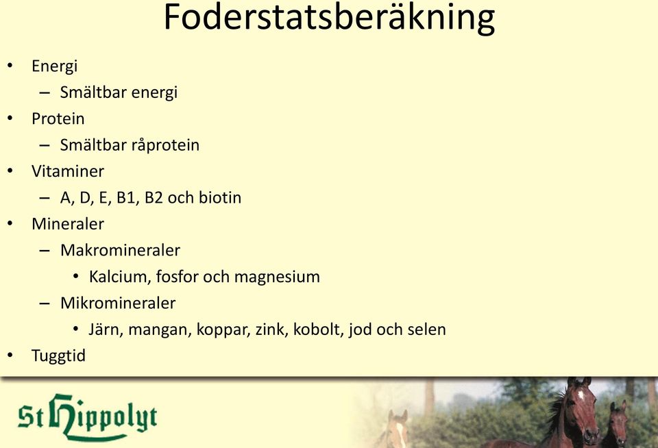 Mineraler Makromineraler Kalcium, fosfor och magnesium