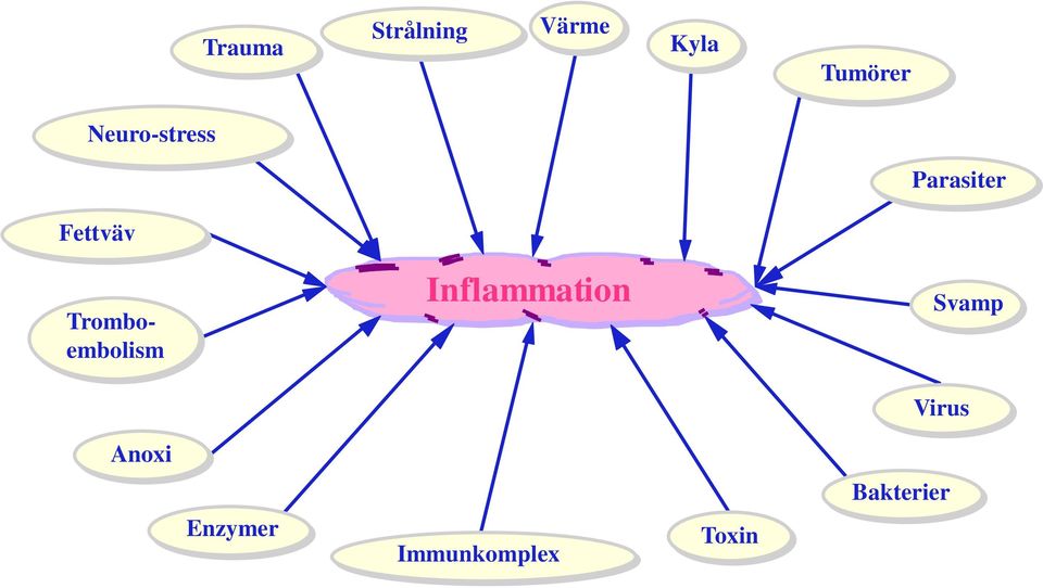 Tromboembolism Inflammation Svamp
