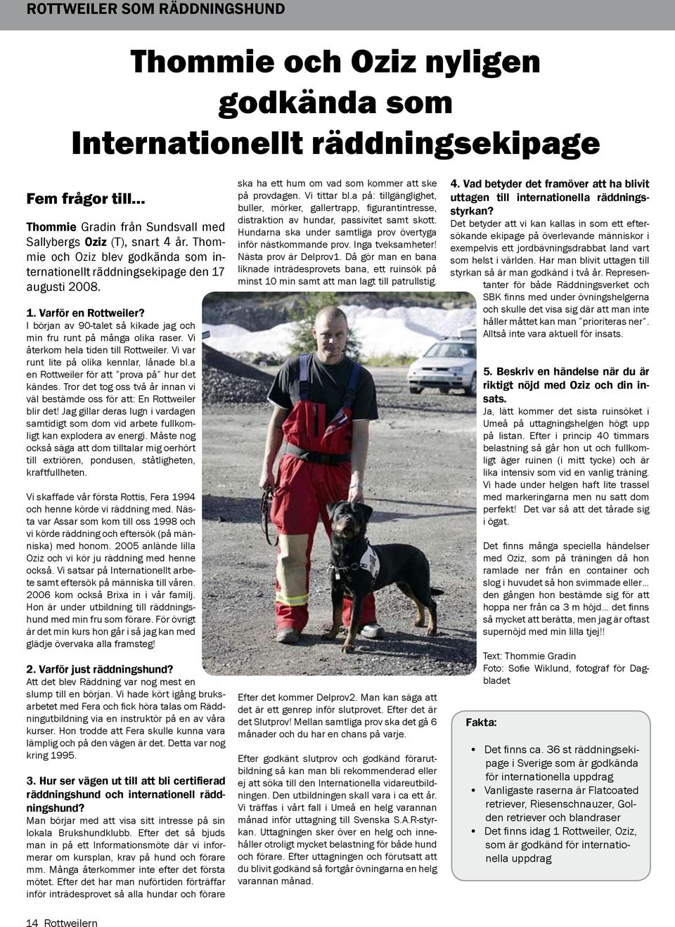 Vi återkom hela tiden till Rottweiler. Vi var runt lite på olika kennlar, lånade bl.a en Rottweiler för att prova på hur det kändes.