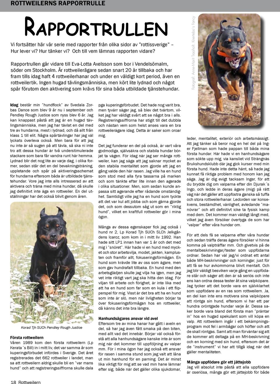 Är rottweilerägare sedan snart 20 år tillbaka och har fram tills idag haft 4 rottweilerhanar och under en väldigt kort period, även en rottweilertik.