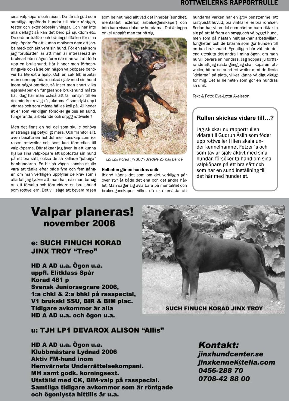 För en sak som jag förutsätter, är att man är intresserad av bruksarbete i någon form när man valt att föda upp en brukshund.