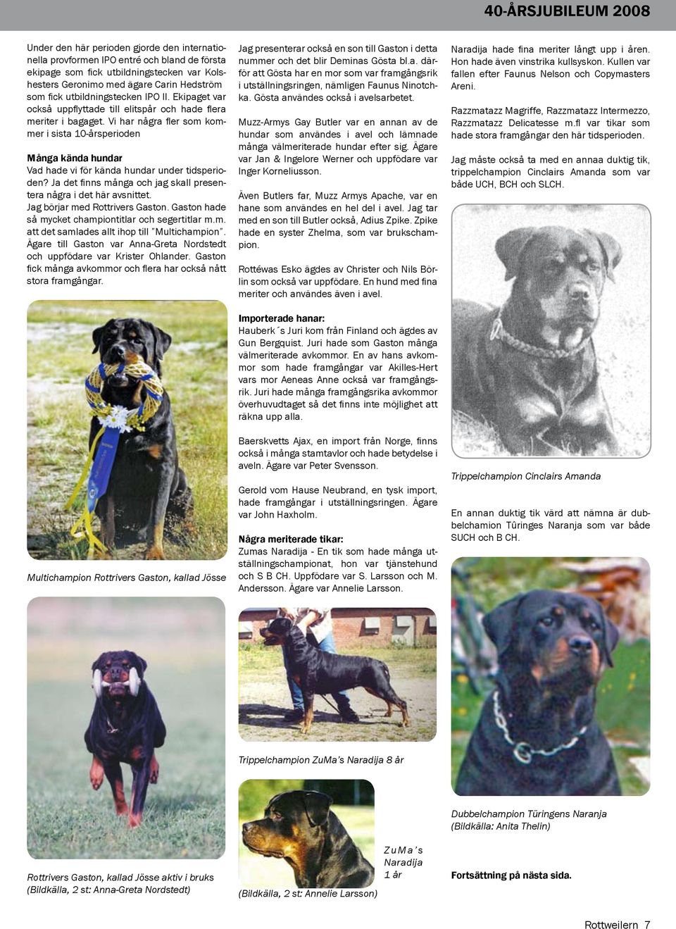 Vi har några fler som kommer i sista 10-årsperioden Många kända hundar Vad hade vi för kända hundar under tidsperioden? Ja det finns många och jag skall presentera några i det här avsnittet.
