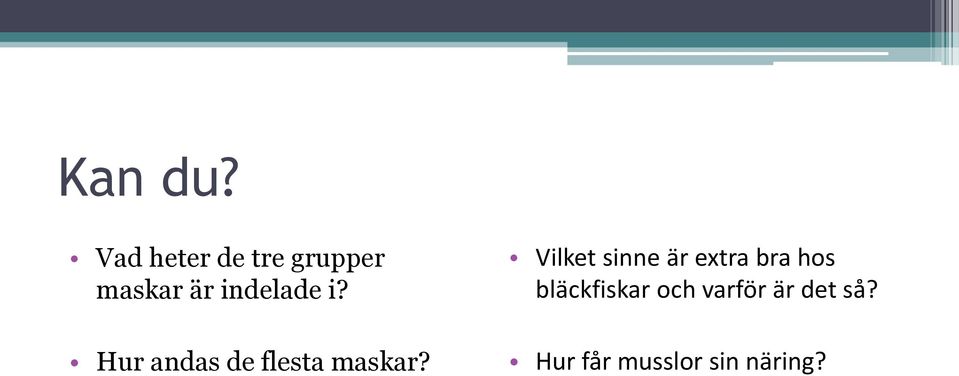 i? Hur andas de flesta maskar?