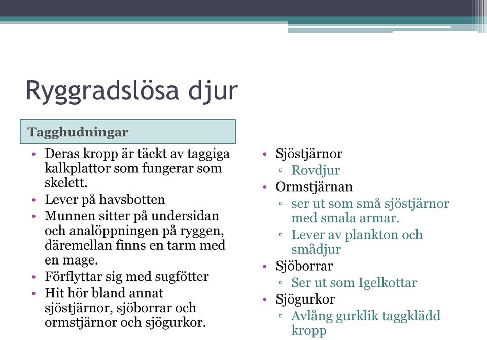 Förflyttar sig med sugfötter Hit hör bland annat sjöstjärnor, sjöborrar och ormstjärnor och sjögurkor.