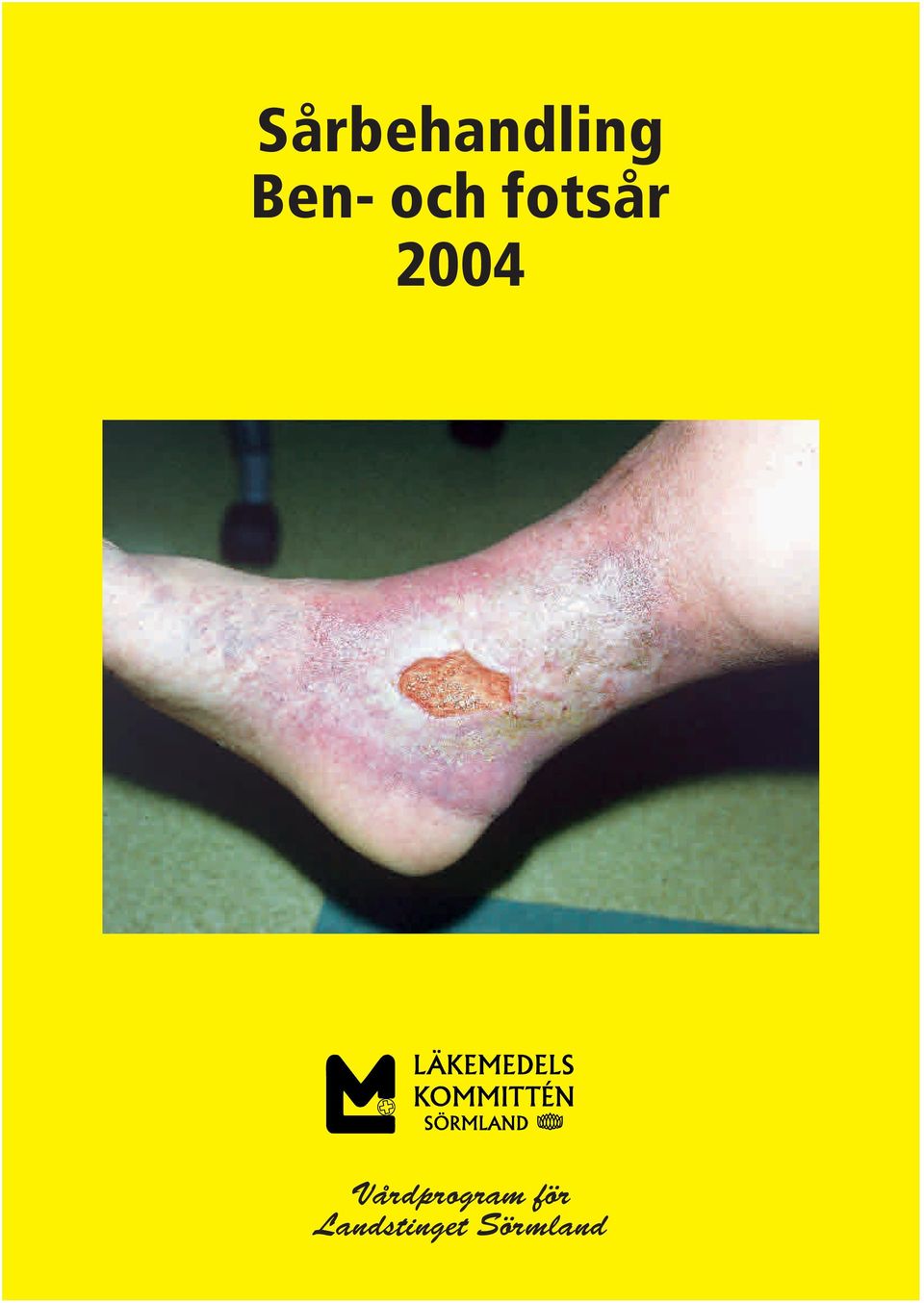 2004 Vårdprogram