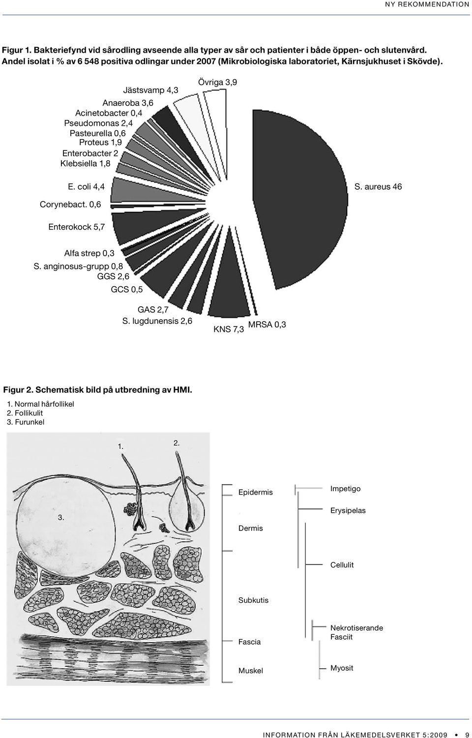 Jästsvamp 4,3 Anaeroba 3,6 Acinetobacter 0,4 Pseudomonas 2,4 Pasteurella 0,6 Proteus 1,9 Enterobacter 2 Klebsiella 1,8 Övriga 3,9 E. coli 4,4 S. aureus 46 Corynebact.