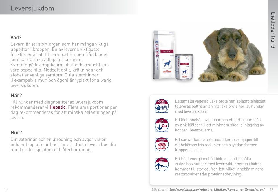 Till hundar med diagnosticerad leversjukdom rekommenderar vi Hepatic. Flera små portioner per dag rekommenderas för att minska belastningen på levern.