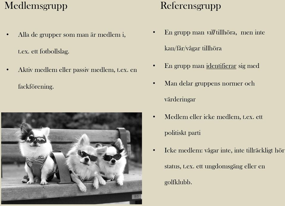 En grupp man vill tillhöra, men inte kan/får/vågar tillhöra En grupp man identifierar sig med Man delar