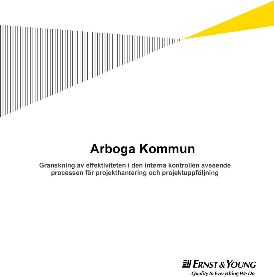 kontrollen avseende processen