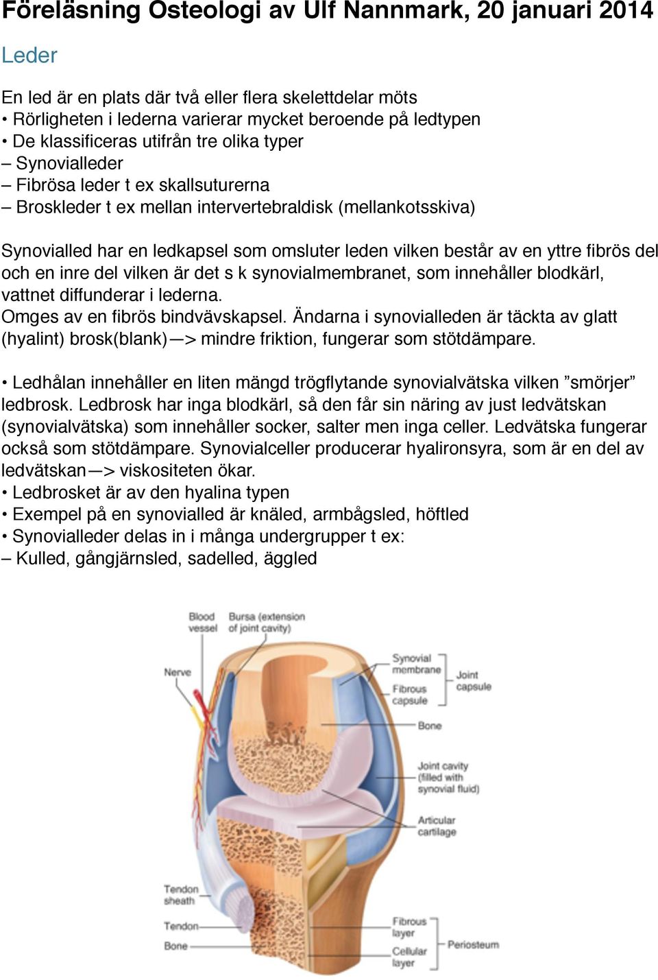 yttre fibrös del och en inre del vilken är det s k synovialmembranet, som innehåller blodkärl, vattnet diffunderar i lederna. Omges av en fibrös bindvävskapsel.