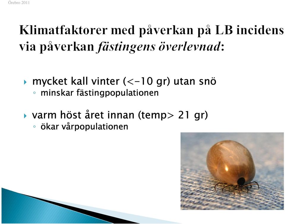 fästingpopulationen varm höst