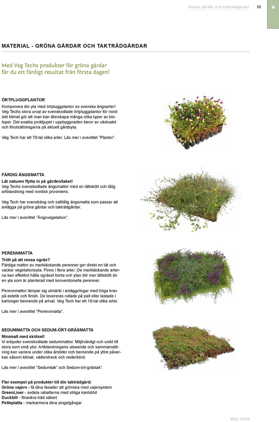 Veg Techs stora urval av svenskodlade örtpluggplantor för nordiskt klimat gör att man kan återskapa många olika typer av biotoper.